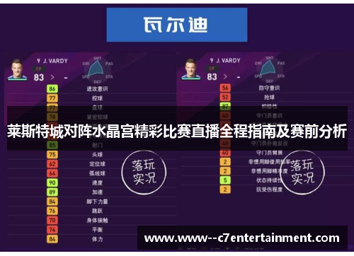 莱斯特城对阵水晶宫精彩比赛直播全程指南及赛前分析